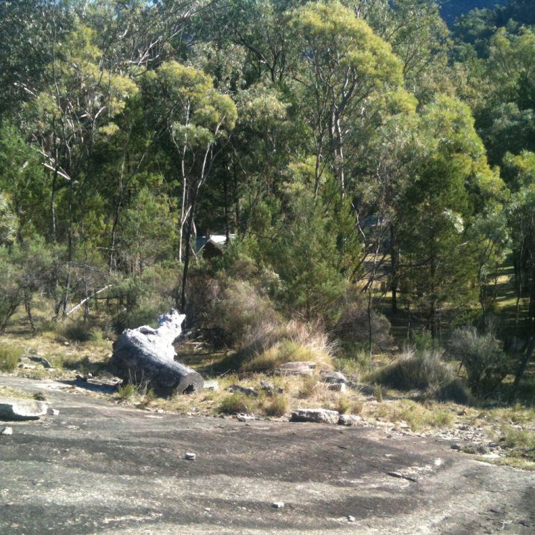 Solace in the hills