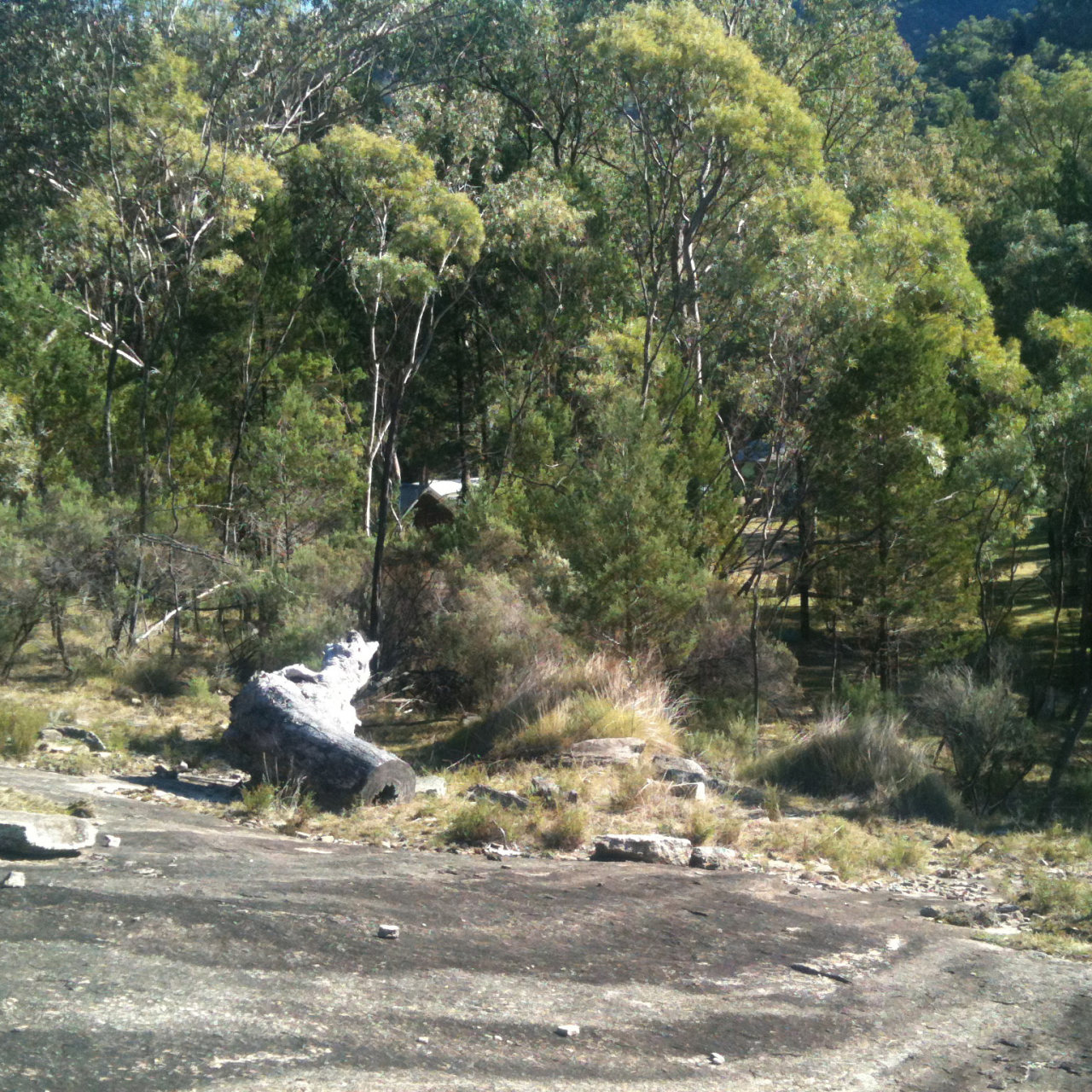 Solace in the hills
