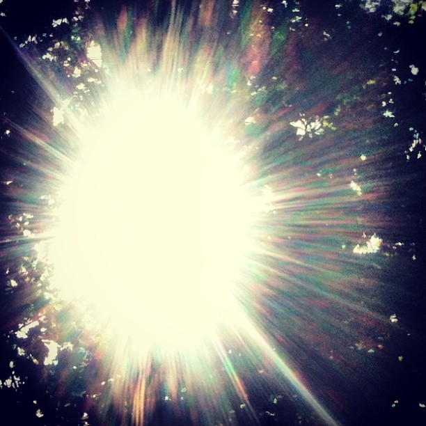 Sunlight through the trees