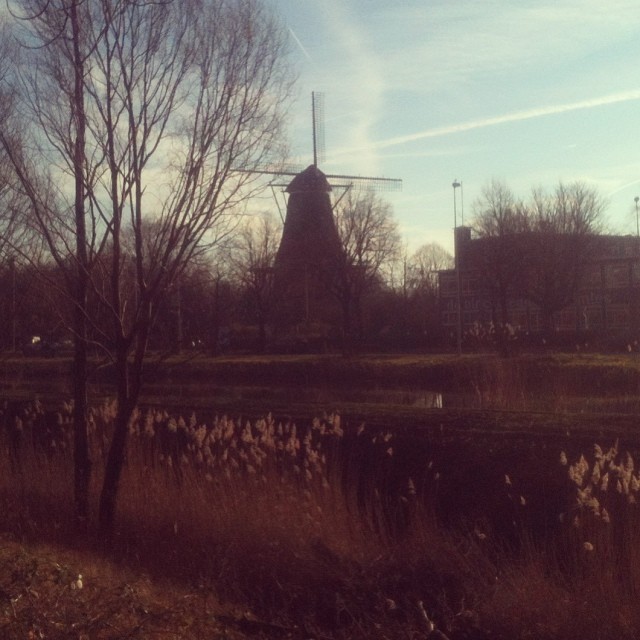 Windmill at Bos en Lommer