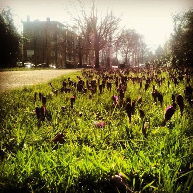 Spring is springing!