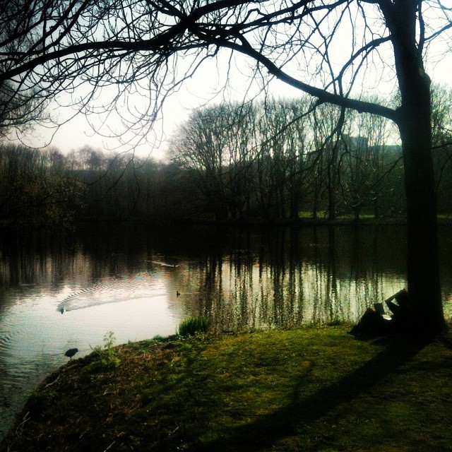 Solitude at Rembrandt Park