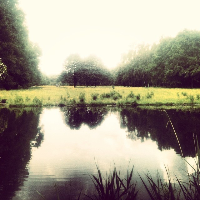 Amsterdamse Bos 
