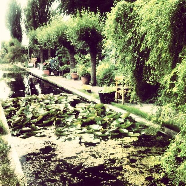 Lilypond