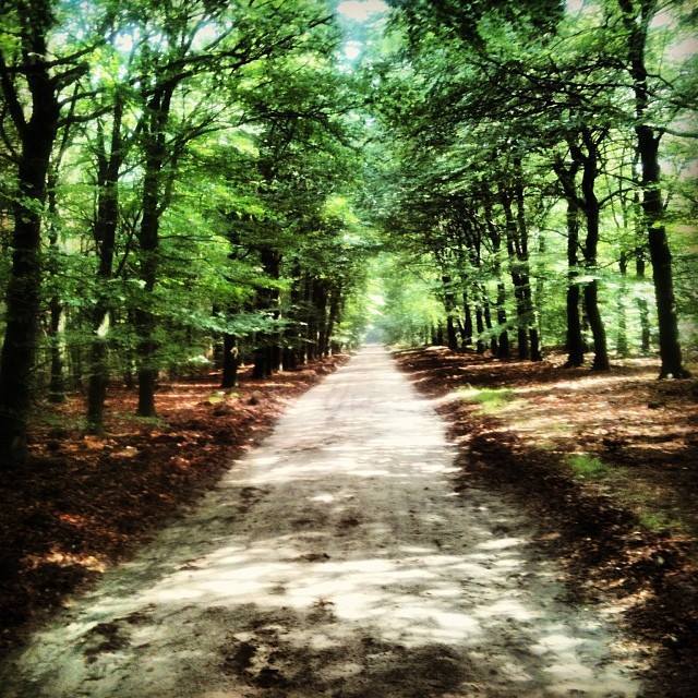 The Long walk into Putten