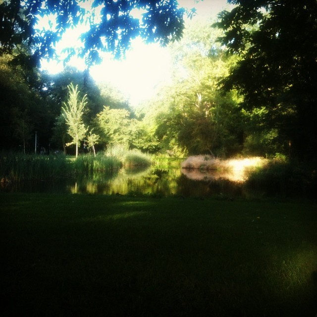 Back in the Noord
