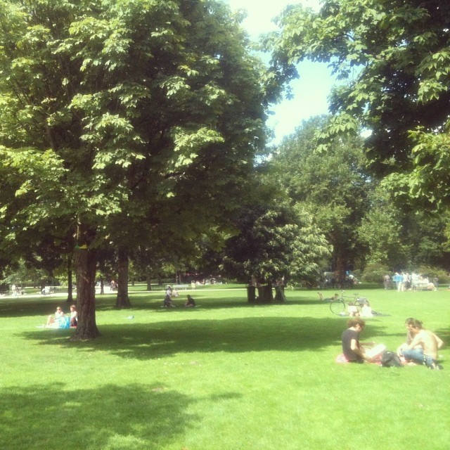 Westerpark and sunshine