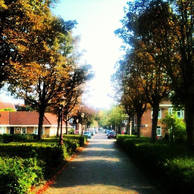 Pretty Noord