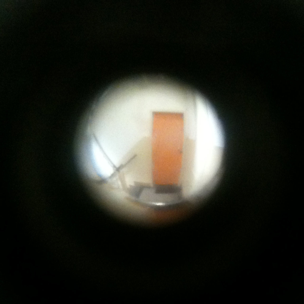 Nosy Neighbours