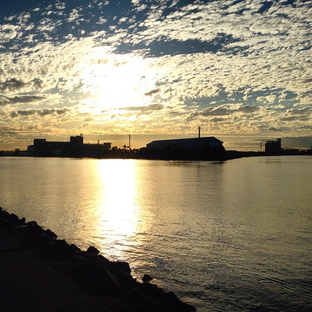 Afternoon Sunshine at the Harbour