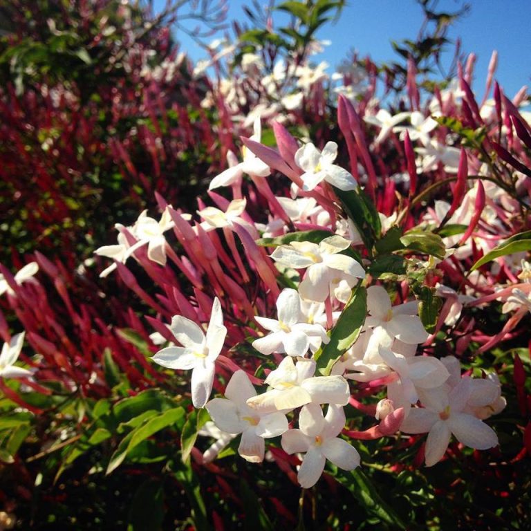 Spring is around the corner