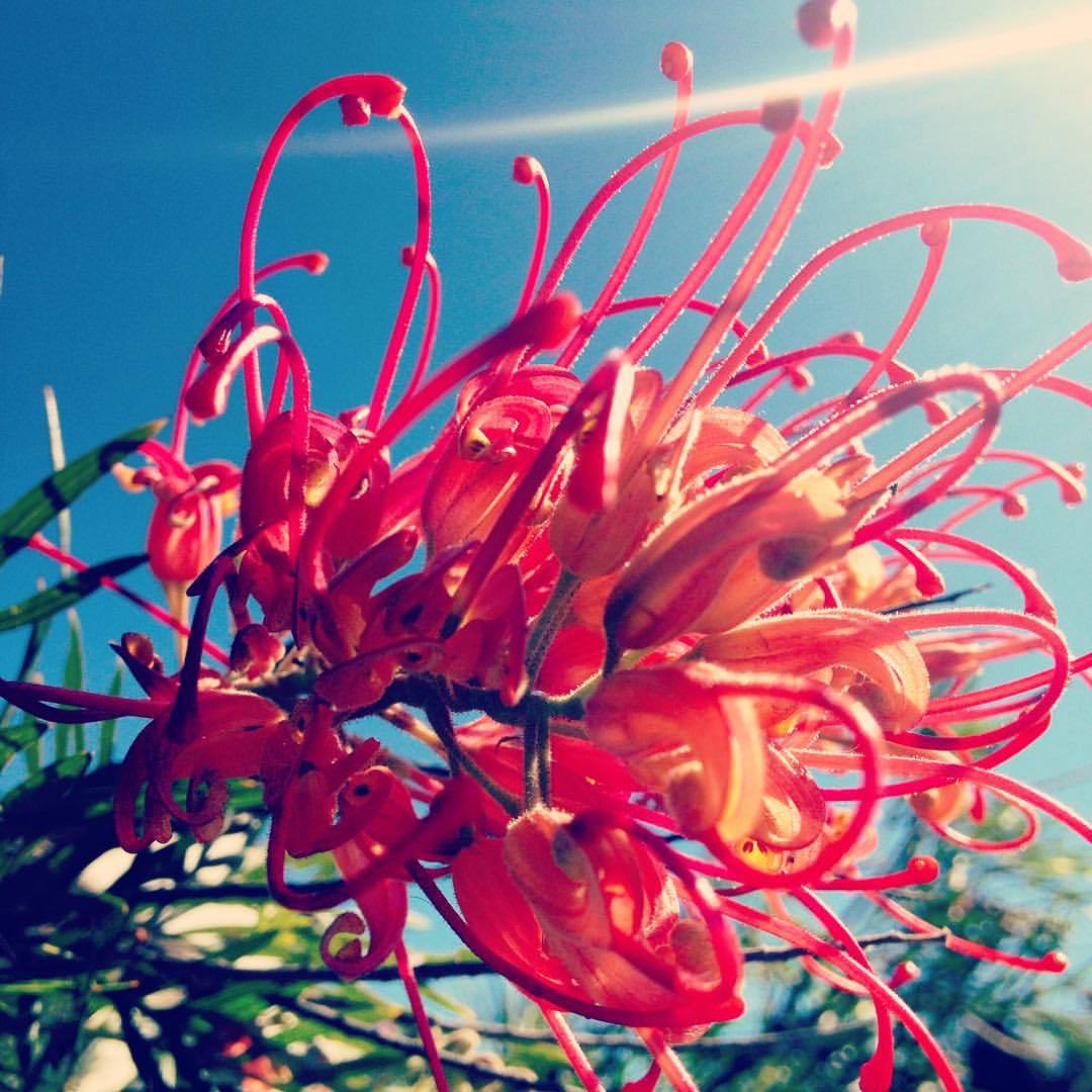 Spring has sprung