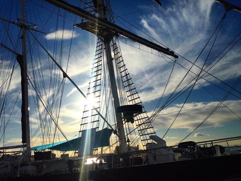 Tall Ship “Endeavour” in the harbour