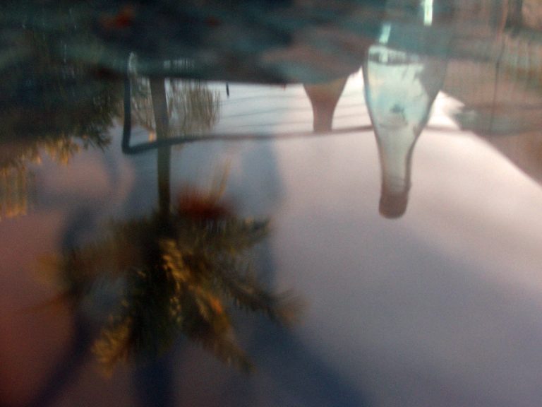 Reflections
