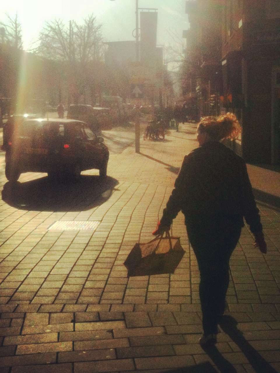 Bos en Lommer in early Spring