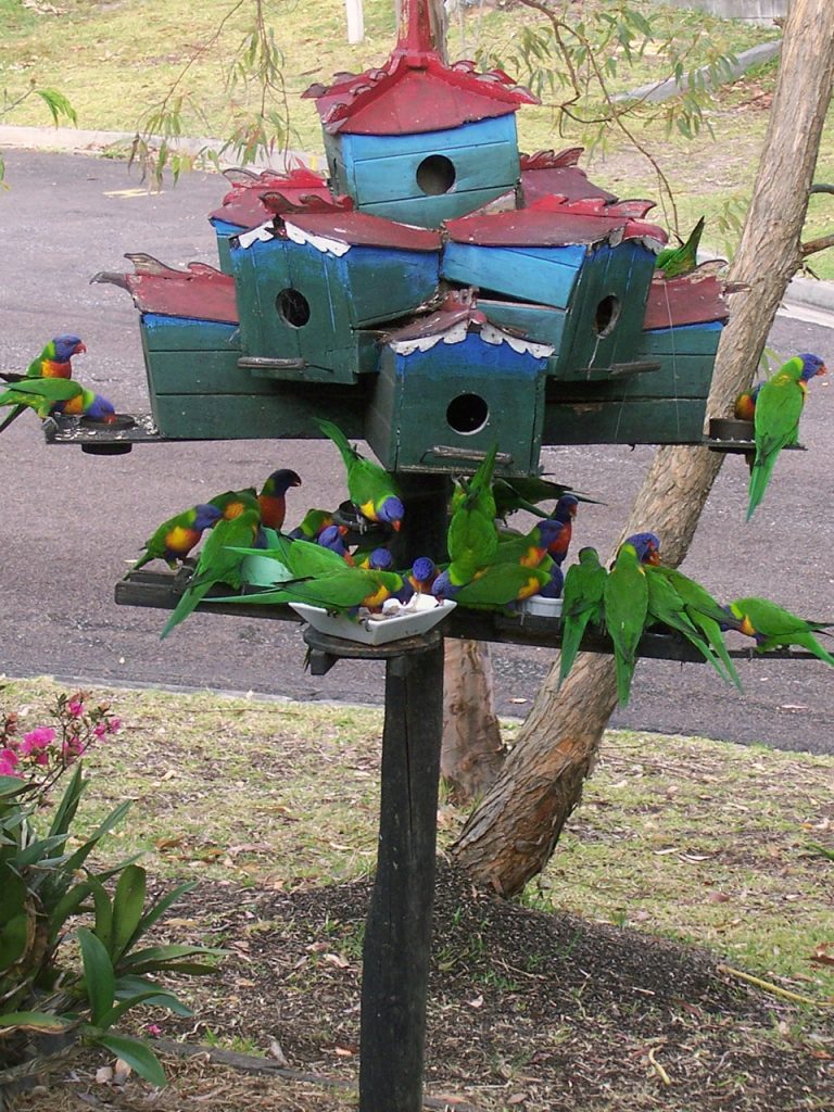 Feeding Time